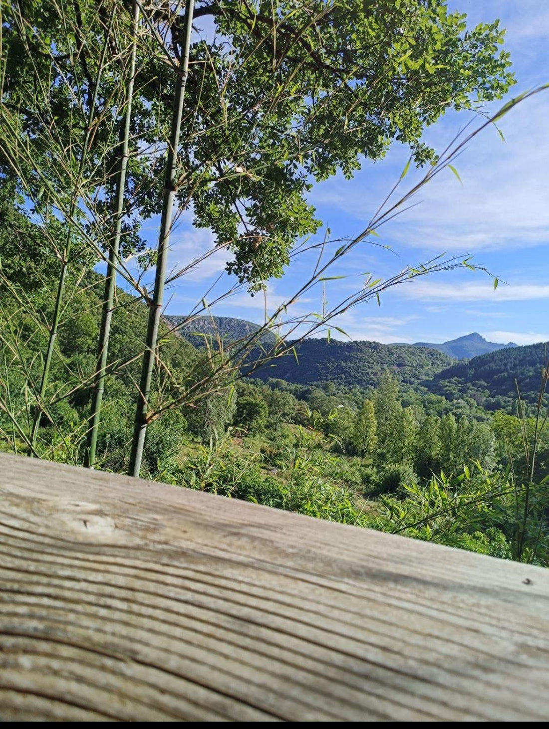 Paysage des Cévennes, terroir de la gemmothérapie artisanale Arom'Elia & Arbor'Elia