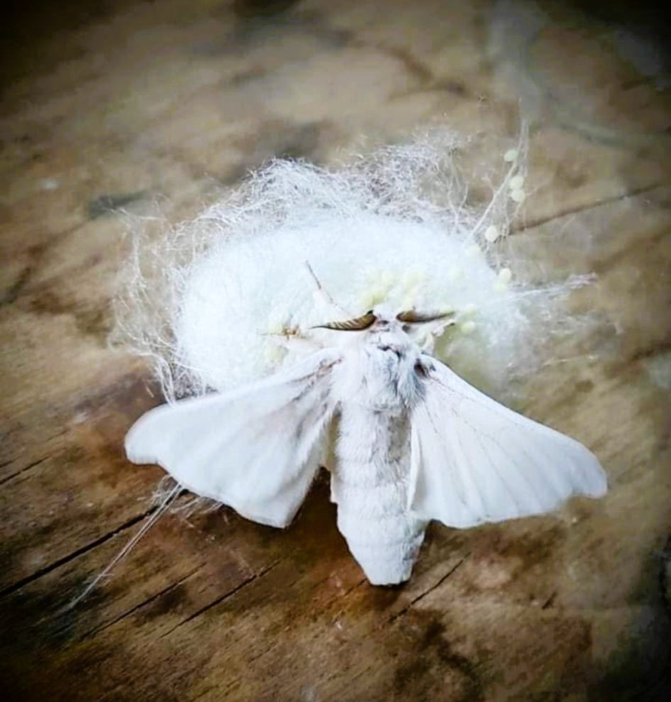 Savon de Soie Floral – Magnanerie des Cévennes