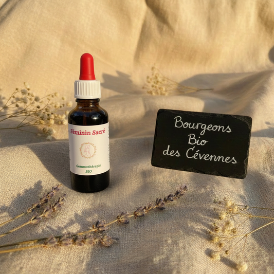 Gemmothérapie artisanale bio Féminin Sacré dans son univers naturel Cévennes – Arom'Elia
