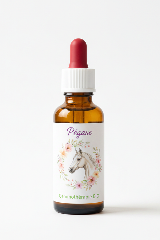 Fiole personnalisée Pégase - Synergie de gemmothérapie bio sur mesure 30ml - Macérat de bourgeons Cévennes
