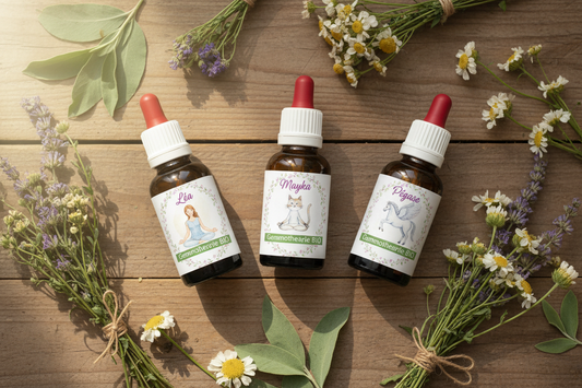 Synergie Personnalisée Bio - Gemmothérapie sur mesure avec fioles personnalisées Léa, Mayka et Pégase - Macérats de bourgeons artisanaux Cévennes
