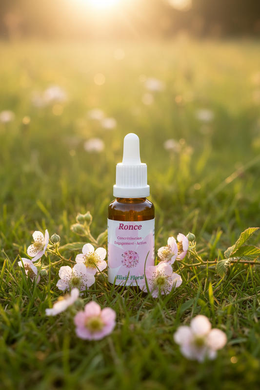 Élixir Floral de Ronce – fiole seule dans la prairie