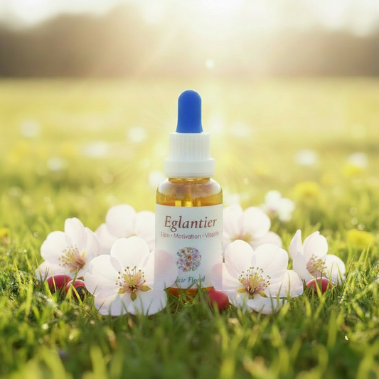 Flacon élixir floral d'Églantier dans une prairie avec fleurs roses – Arom'Elia