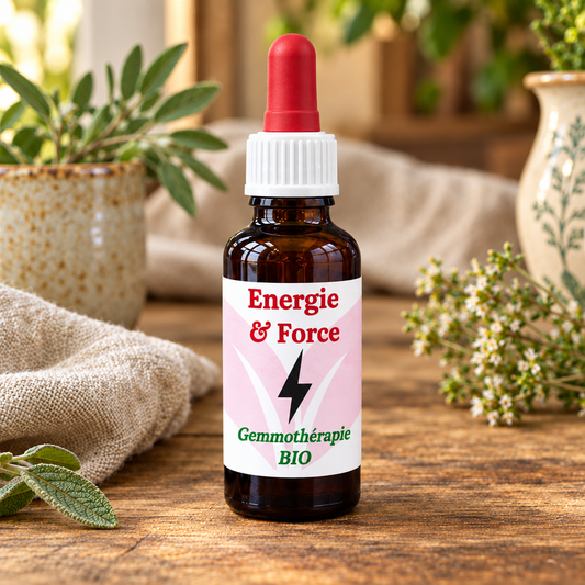 Énergie & Force, première photo de la synergie BIO