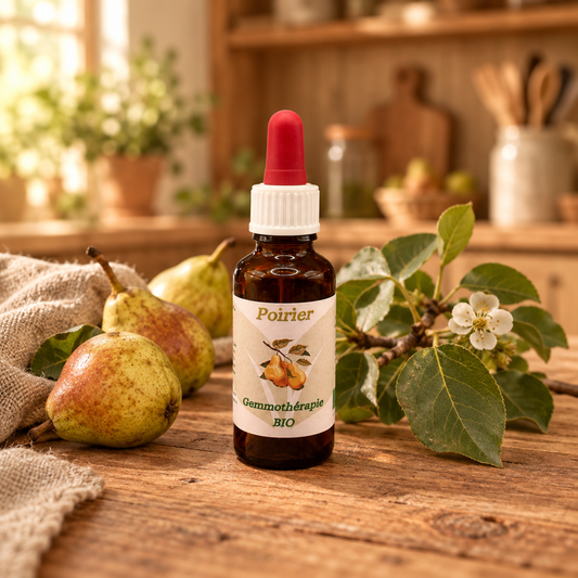 Fiole fermée de Poirier en gemmothérapie BIO sur une table en bois de cuisine, avec une petite poire et des feuilles