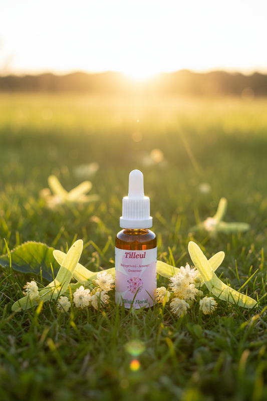 Élixir Floral de Tilleul – fiole seule dans la prairie