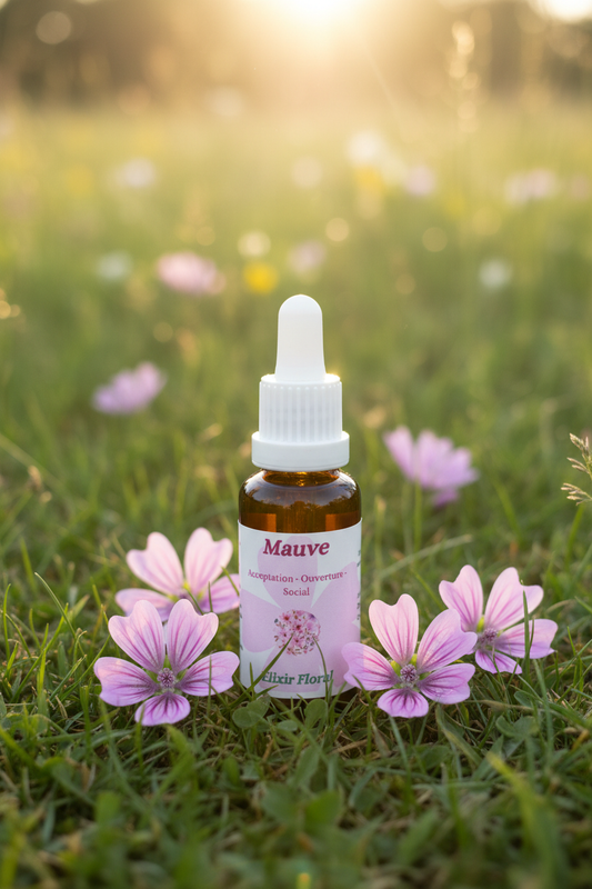 Élixir Floral de Mauve – fiole seule dans la prairie