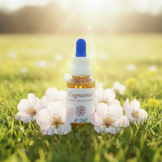 Flacon élixir floral de Cognassier dans une prairie avec fleurs blanc rosé – Arom'Elia
