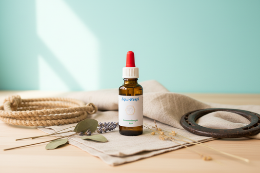Equi-Respi – Mise en scène artisanale fond turquoise, licol et fer à cheval