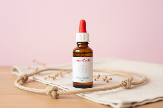 Equi-Cycle – Mise en scène artisanale fond framboise, licol éthologique