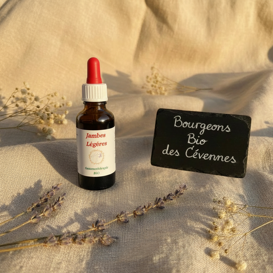Gemmothérapie artisanale bio Jambes Légères dans son univers naturel Cévennes – Arbor'Elia
