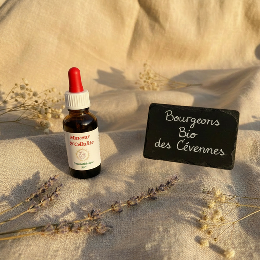 Gemmothérapie artisanale bio Minceur & Cellulite dans son univers naturel Cévennes – Arbor'Elia
