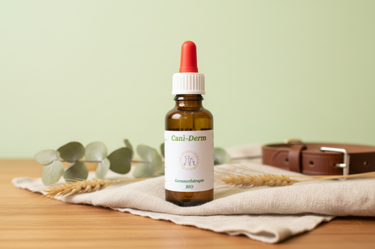 Mise en scène Cani-Derm – mur vert pâle