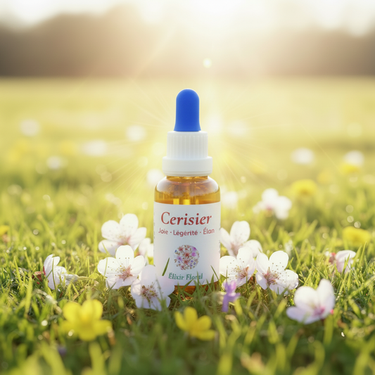 Mise en scène Cerisier prairie