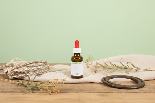 Mise en scène Equi-Récup – flacon original + mur vert clair