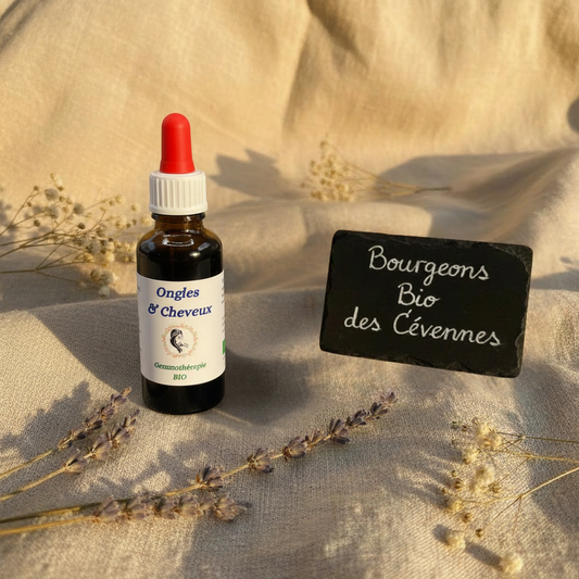 Gemmothérapie artisanale bio Ongles & Cheveux dans son univers naturel Cévennes – Arbor'Elia
