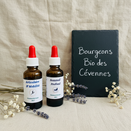 Gemmothérapie artisanale bio Pack Articulations & Sommeil dans son univers naturel Cévennes – Arbor'Elia
