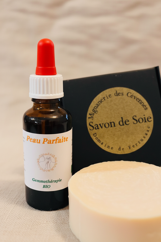 Détail étiquette artisanale gemmothérapie Pack Peau Parfaite bio – Macérat de bourgeons et savon certifié
