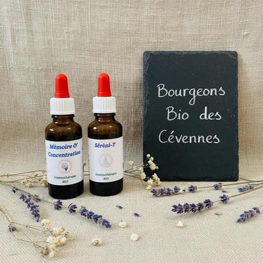 Gemmothérapie artisanale bio Pack Tête Légère & Sérénité dans son univers naturel Cévennes – Arbor'Elia
