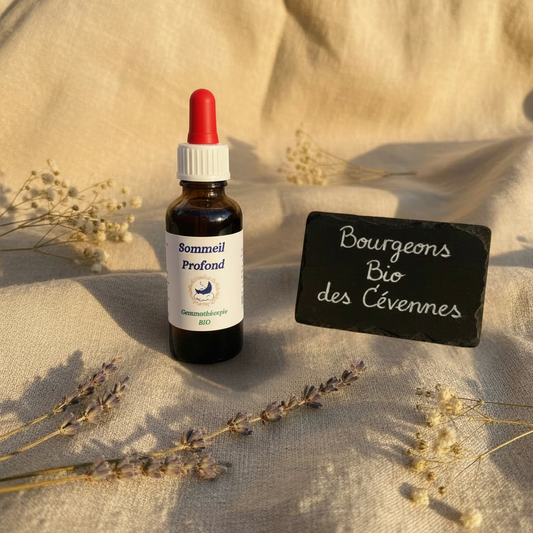 Gemmothérapie artisanale bio Sommeil Profond dans son univers naturel Cévennes – Arbor'Elia
